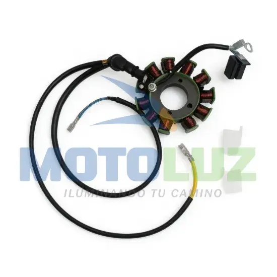 ALTERNADOR 12 POLOS (250W) KIGCOL marca MOTOLUZ para moto | Moto Luz Perú