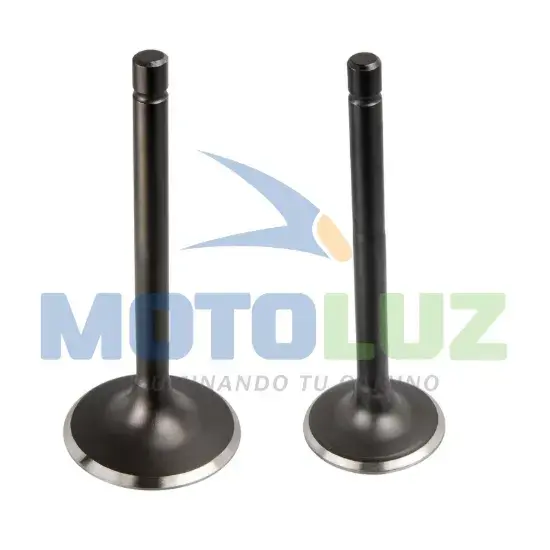 VALVULA DE ADMISION Y ESCAPE CG250 - KIGCOL marca MOTOLUZ para moto | Moto Luz Perú
